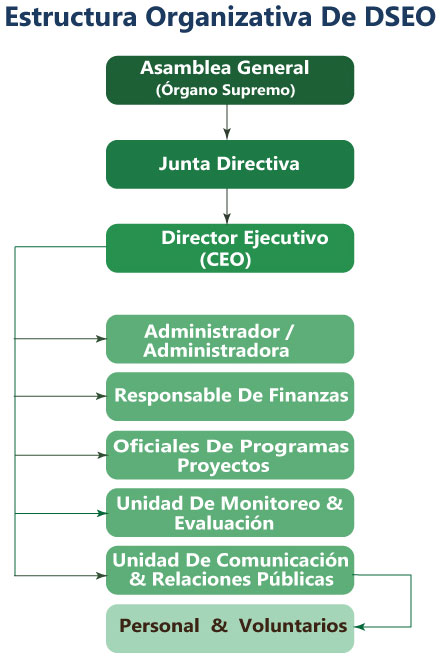 Org structure ES