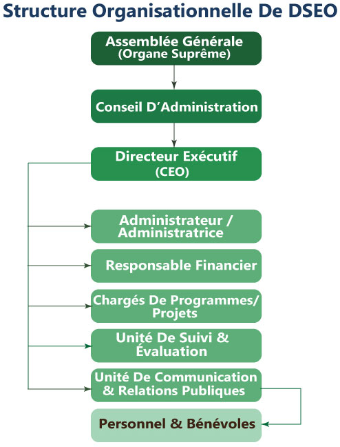 Org structure FR